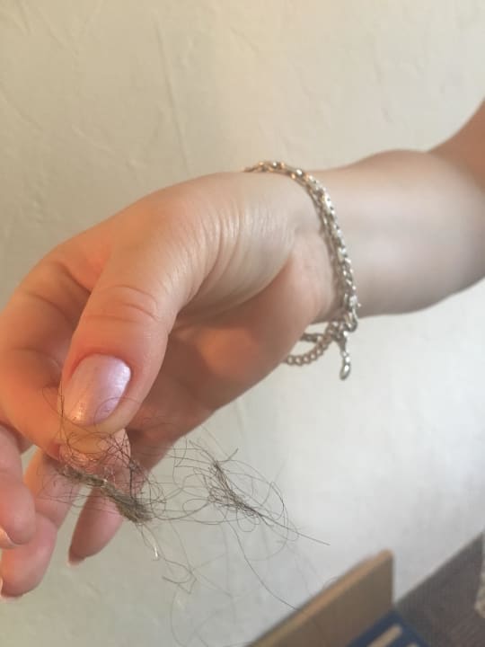 Haarbüschel auf Boden gefunden Bonita Beach