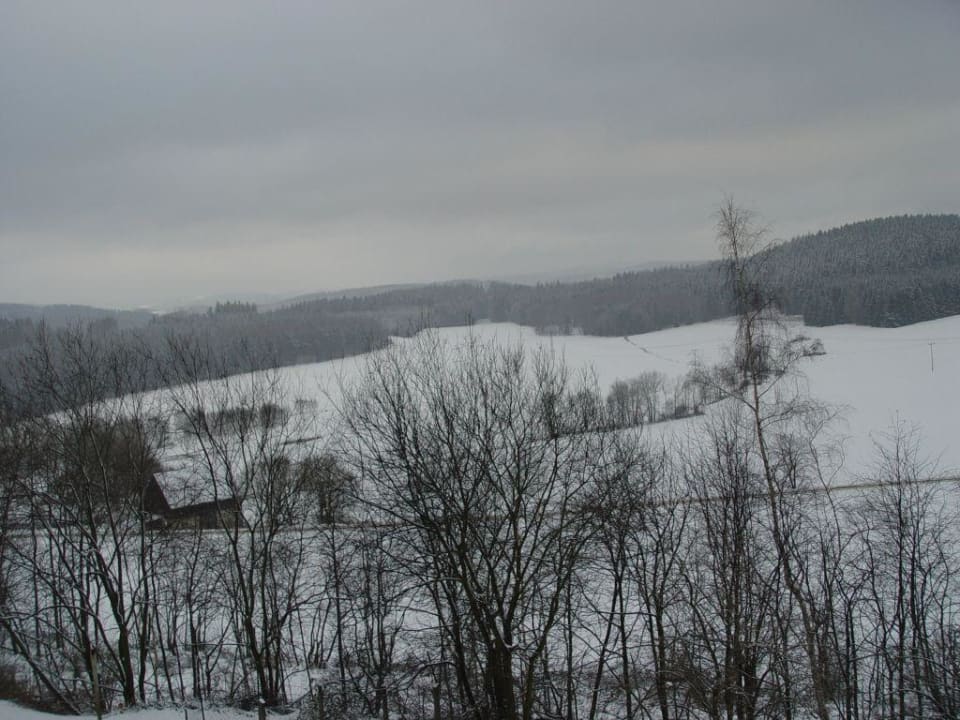 Ausblick aus dem Zimmer Sonnenhotel Hoher Hahn