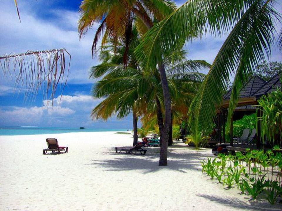 Traumhaft schön Kuredu Island Resort & Spa