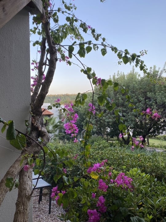 Außenansicht Hapimag Sea Garden Resort