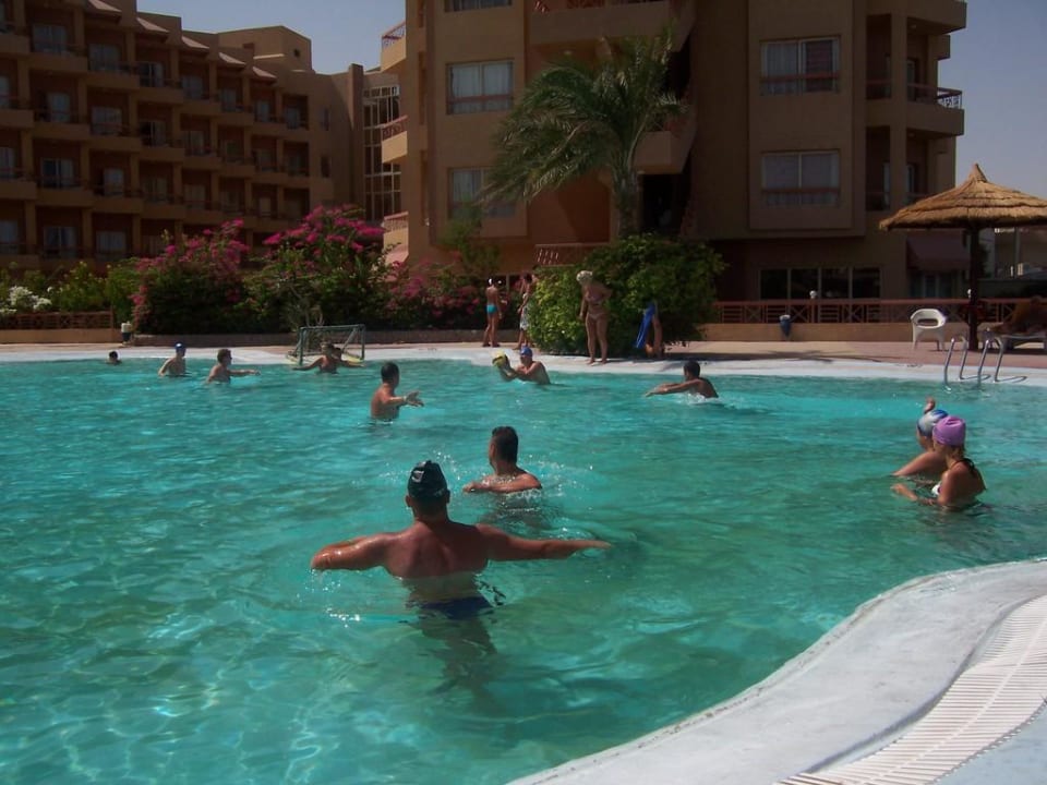 Basen - mecz piłki wodnej Seagull Beach Resort