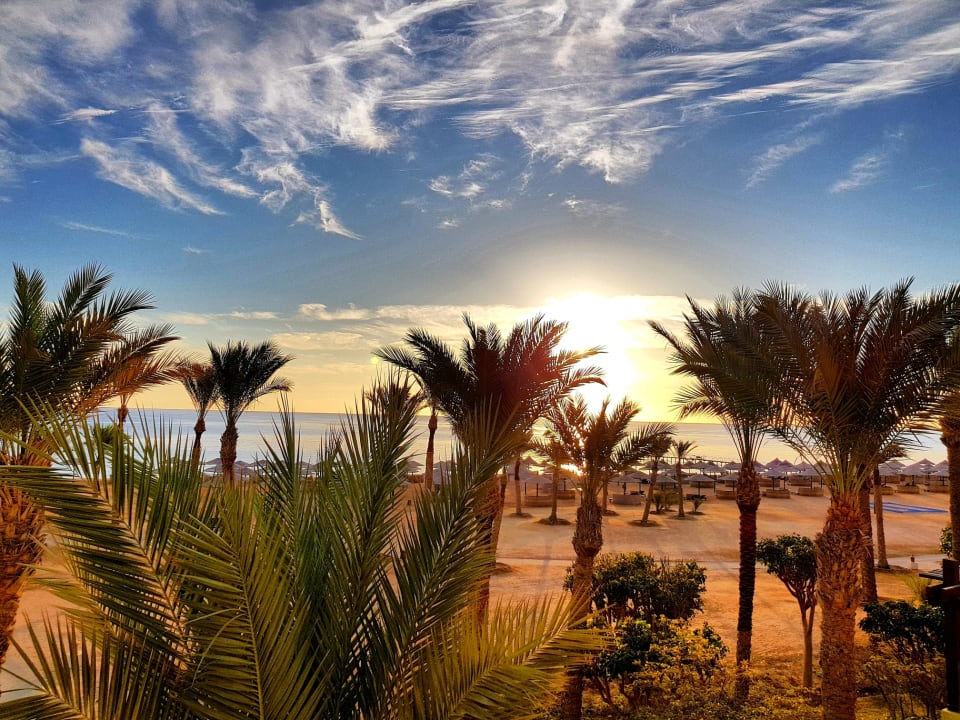 Ausblick Pickalbatros Sands Hotel - Port Ghalib