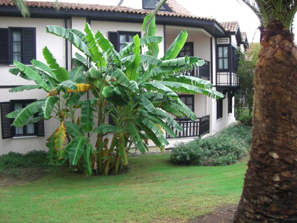 Bananen Sunrise Resort Hotel