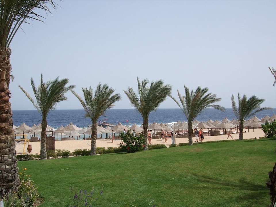 Blick auf den Strand Serenity Alpha Beach