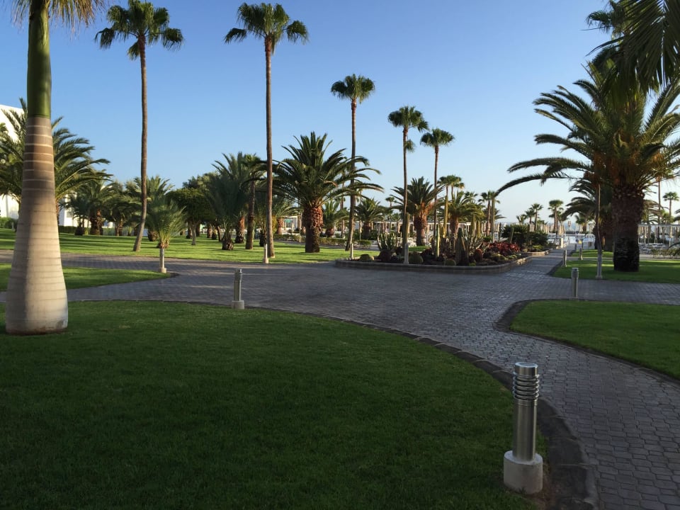 Blick in den Garten Hotel Riu Gran Canaria