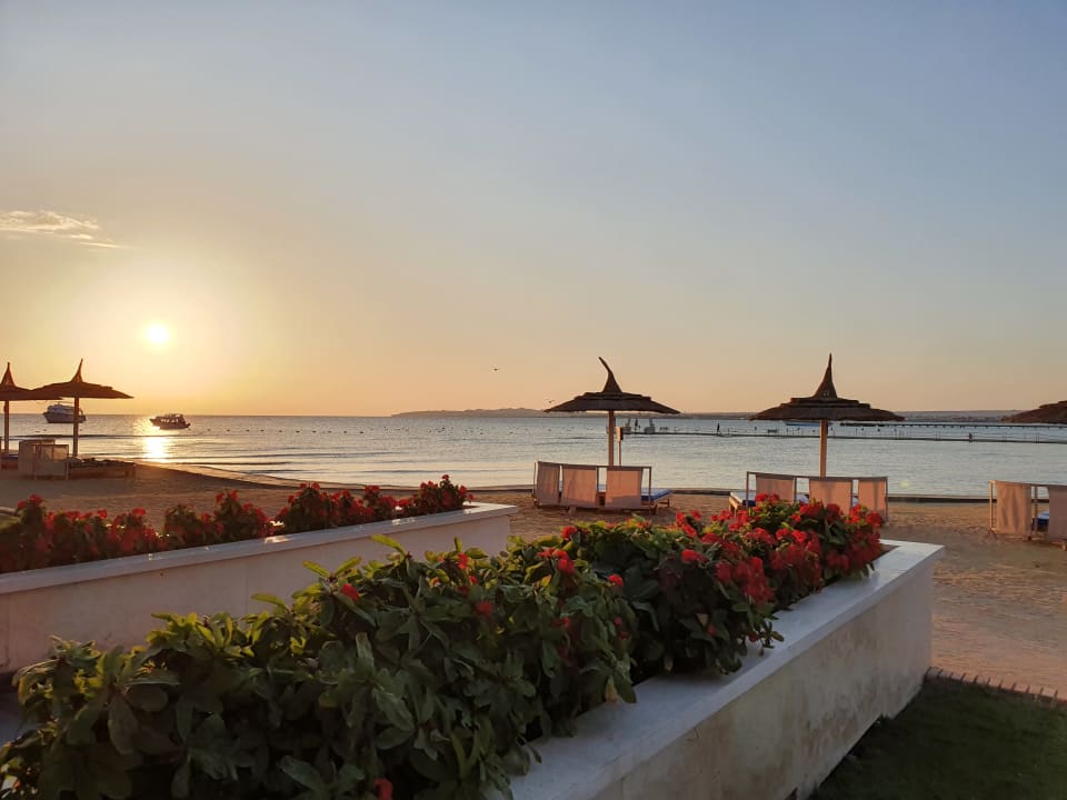 Ausblick Beach Albatros Resort