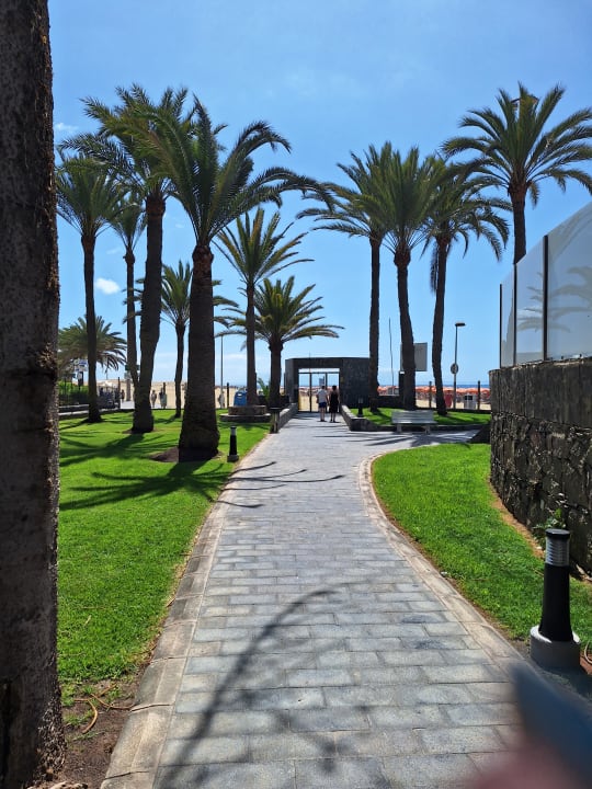 Gartenanlage Hotel Riu Palace Oasis