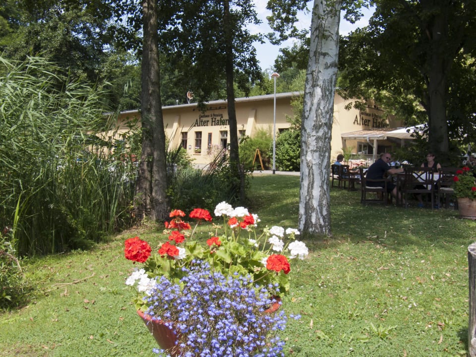 Garten Gasthaus Alter Hafen