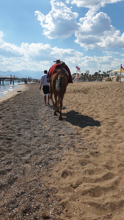Strand Saturn Palace Resort Hotel