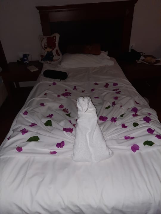 Zimmer Bodrum Holiday Resort & Spa