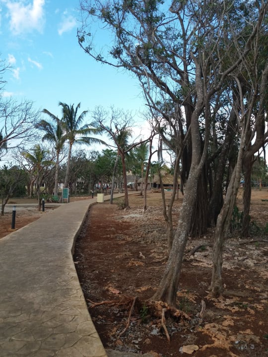 Gartenanlage Sirenis Tropical Varadero