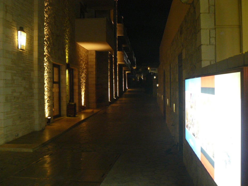 Cactus-Royal Seitenfront am Abend Cactus Royal