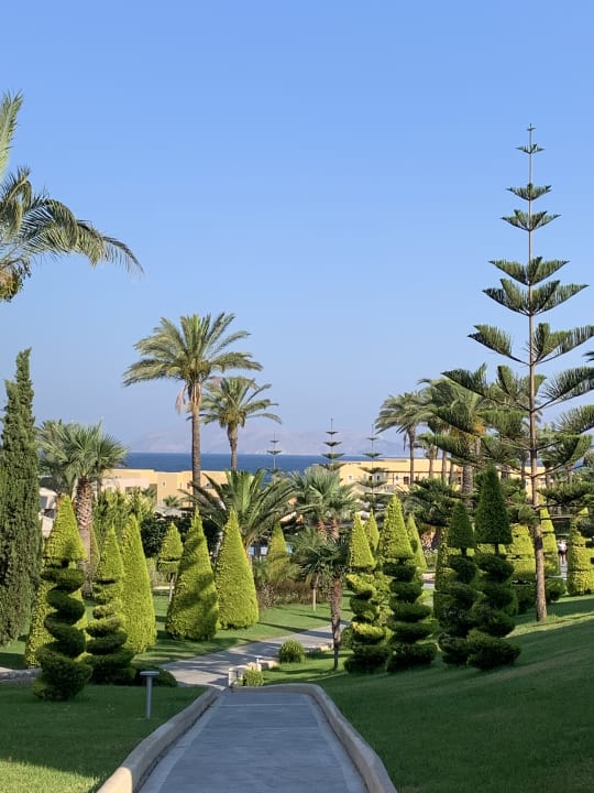 Gartenanlage Hotel Horizon Beach Resort