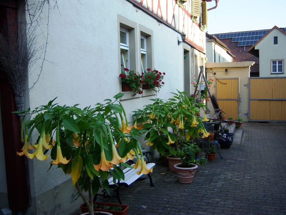 Innenhof-Hauseingang Gasthaus Zehnthof