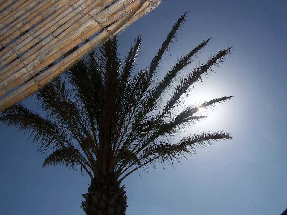 Urlaub Royal Lido Resort & Spa