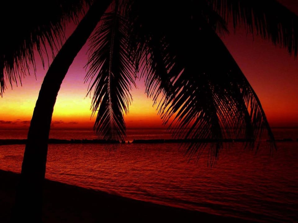 Sonnenuntergang im Paradies Summer Island Maldives
