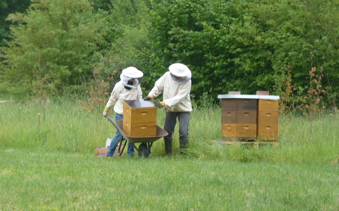 Sonstiges Ferienbauernhof Leverenzhof