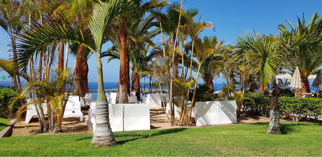 Gartenanlage Hotel Riu Palace Tenerife