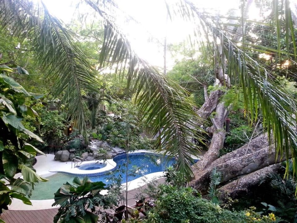 Blick vom Balkon Hotel Bosque del Mar