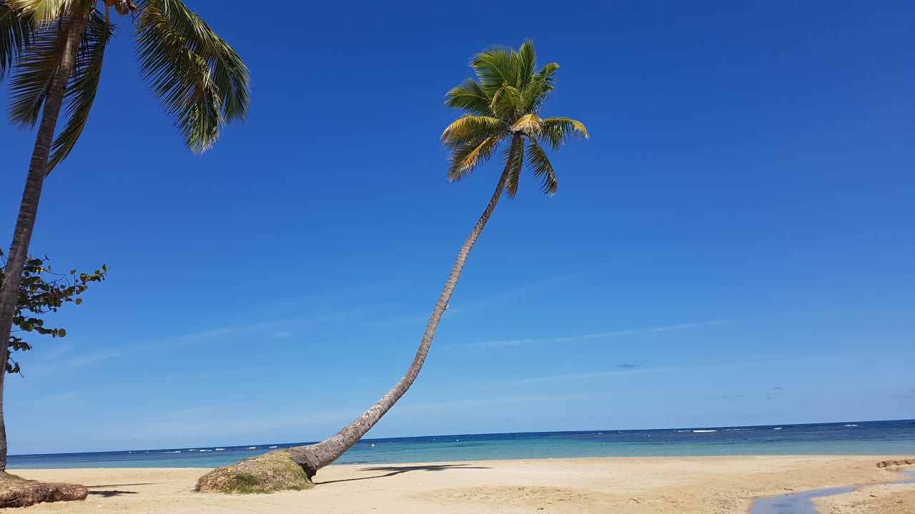 Strand Bahia Principe Grand El Portillo