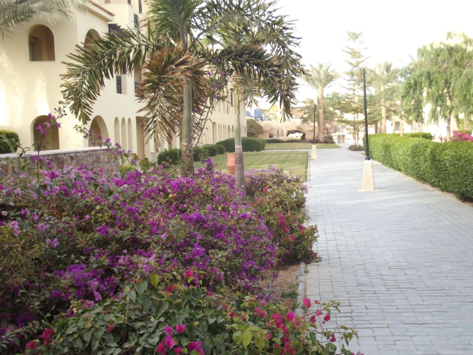 Weg zum Zimmer Stella Garden Resort & Spa, Makadi Bay