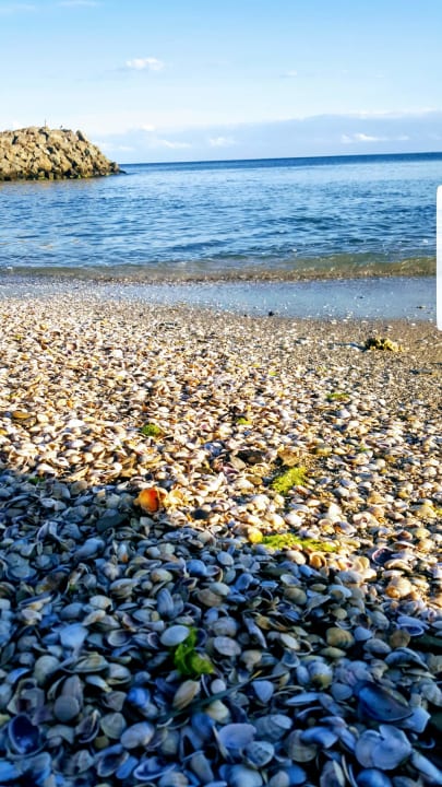 Strand Hotel Sineva Beach