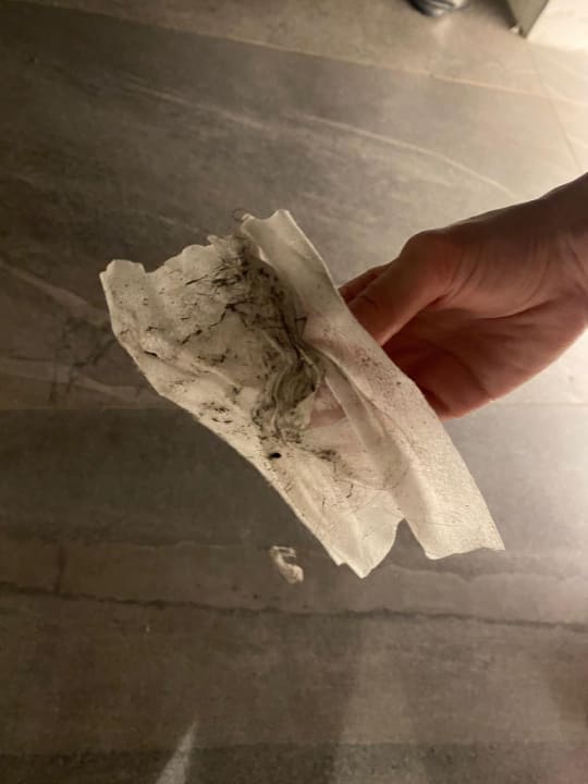 Zimmer Calyptus Kirman Premium