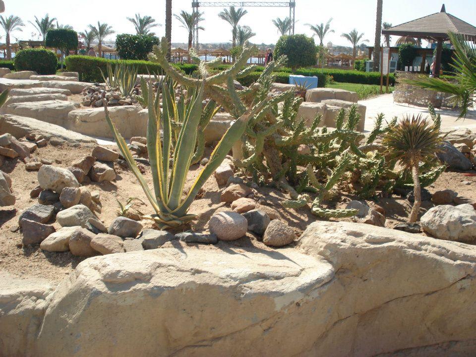 Okoli kolem ubytovani SUNRISE Royal Makadi Resort