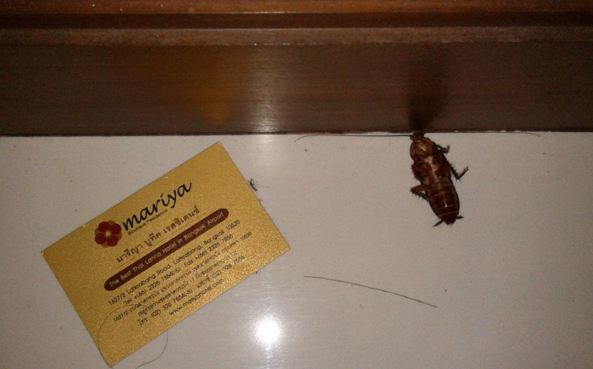 Ohne Worte Mariya Boutique At Suvarnabhumi Airport