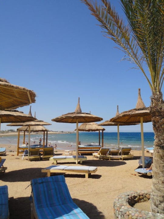 Plaża Pickalbatros Aqua Vista Resort - Hurghada