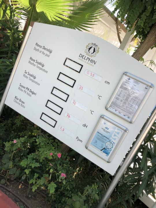 Pool Hotel Delphin Imperial