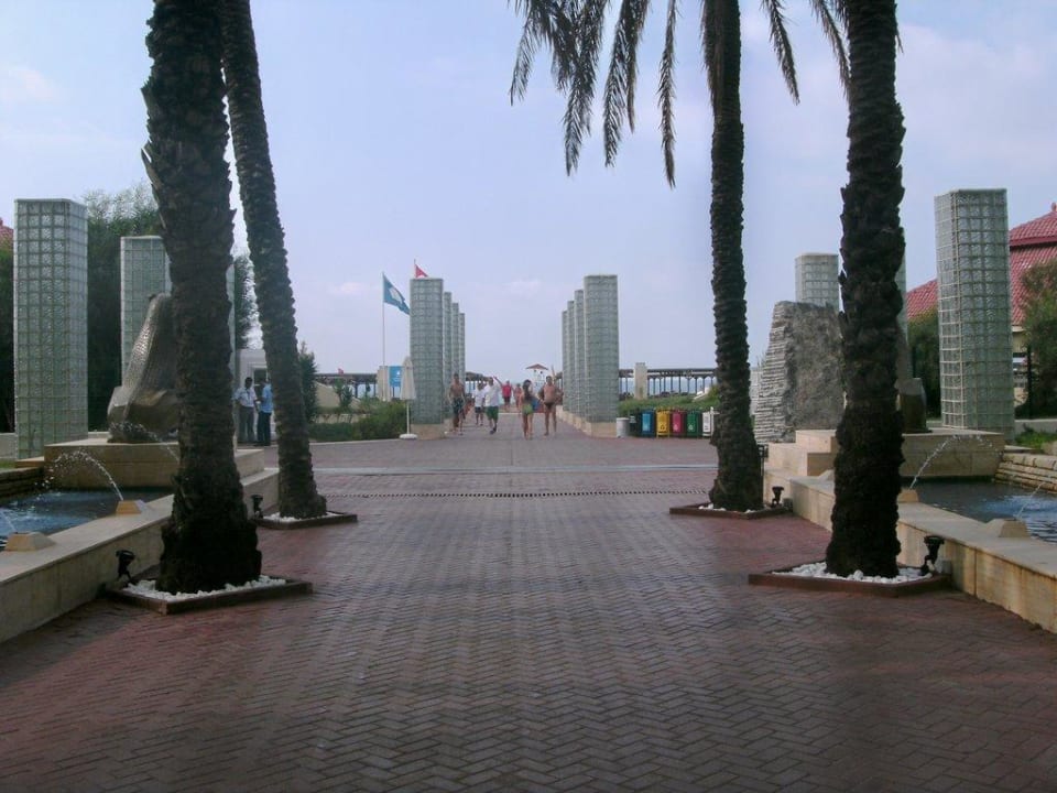 Palmenallee zum Strand Monachus Family Resort Sorgun