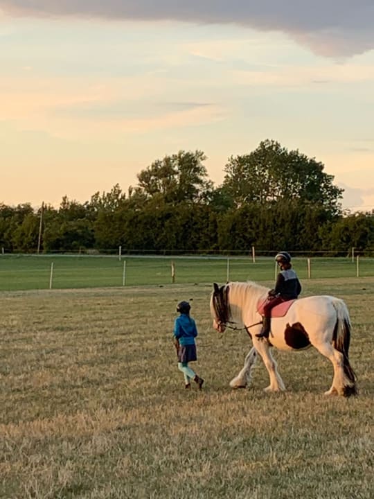 Sport & Freizeit Bauernhof Hinz Wenkendorf