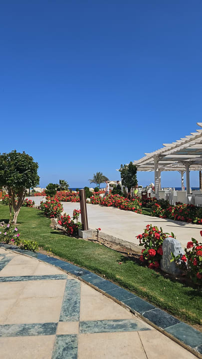 Gartenanlage Gravity Hotel & Aquapark Sahl Hasheesh