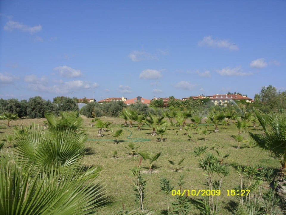 Weitläufige Anlage Alba Resort Hotel