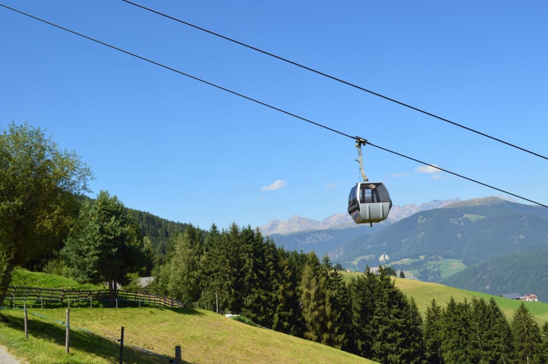 Ausblick Niedereggerhof - Urlaub auf dem Bauernhof