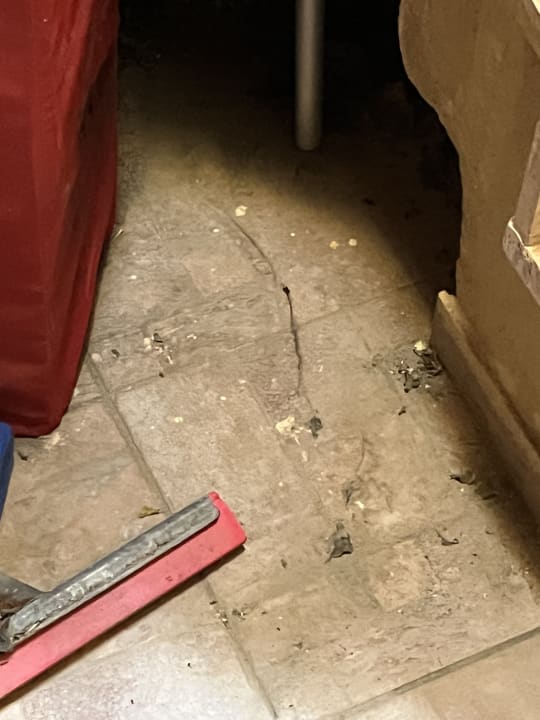 Zimmer The One Club Hotel