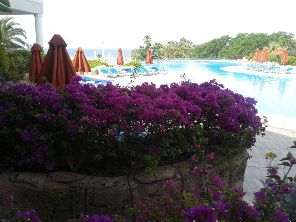 Pool Starlight Resort Hotel