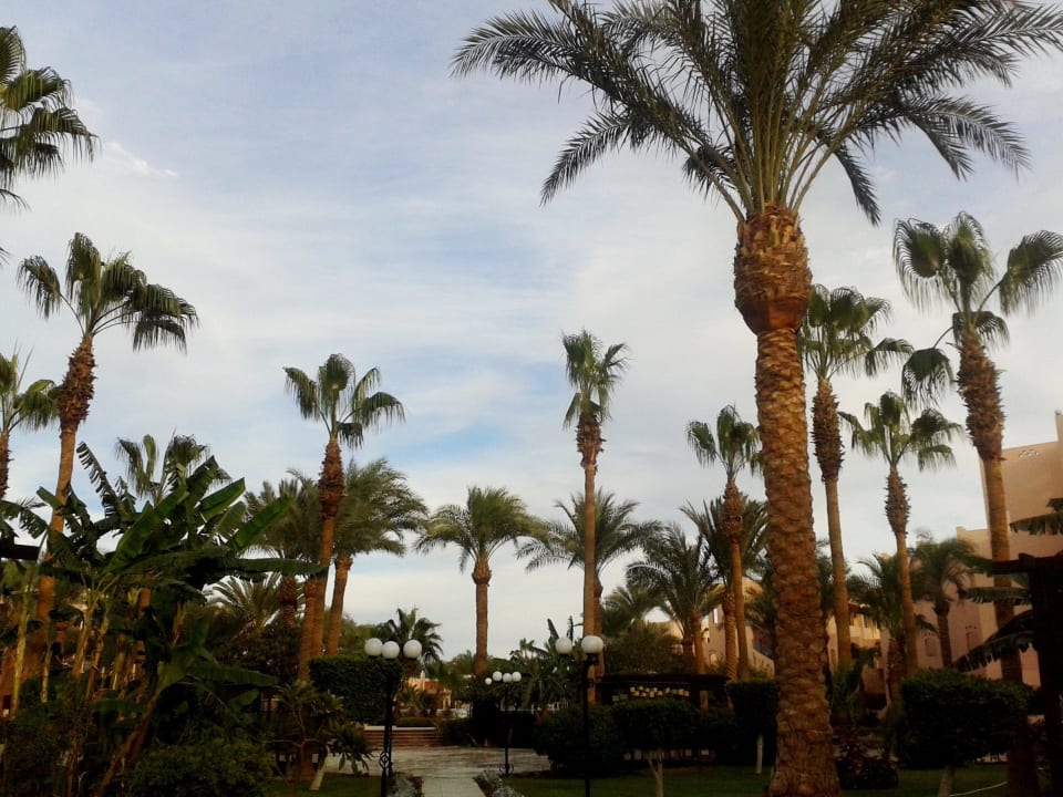Hotel Le Pacha Beach Resort Hotel Le Pacha Beach Resort