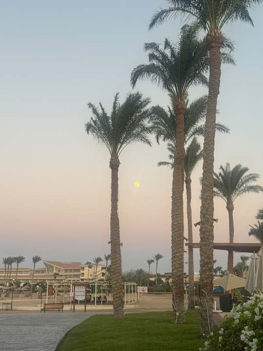 Außenansicht Cleopatra Luxury Resort Makadi Bay