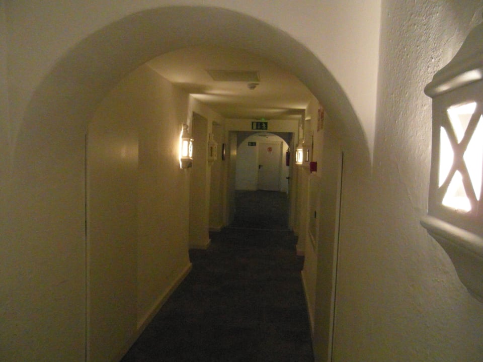 Zimmer Dreams Jardín Tropical