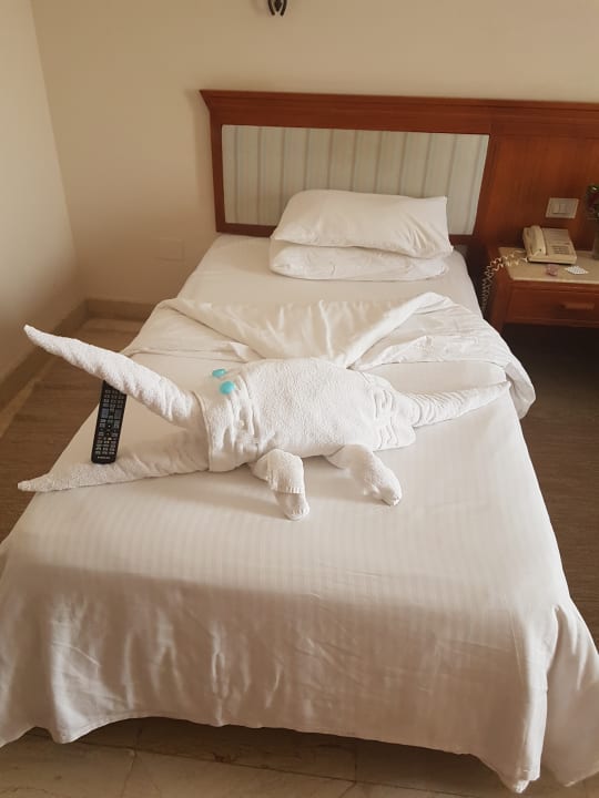 Zimmer Pharaoh Azur Resort