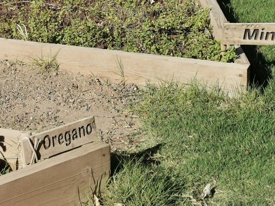 Gartenanlage Fort Arabesque Resort, Spa & Villas