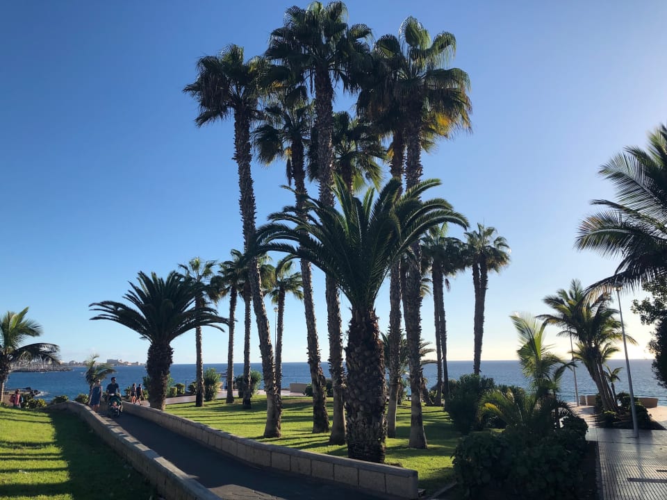 Garten Adrián Hoteles Colón Guanahaní - Adults only