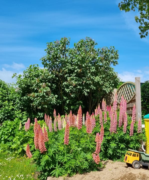 Gartenanlage Ferienhof Albert