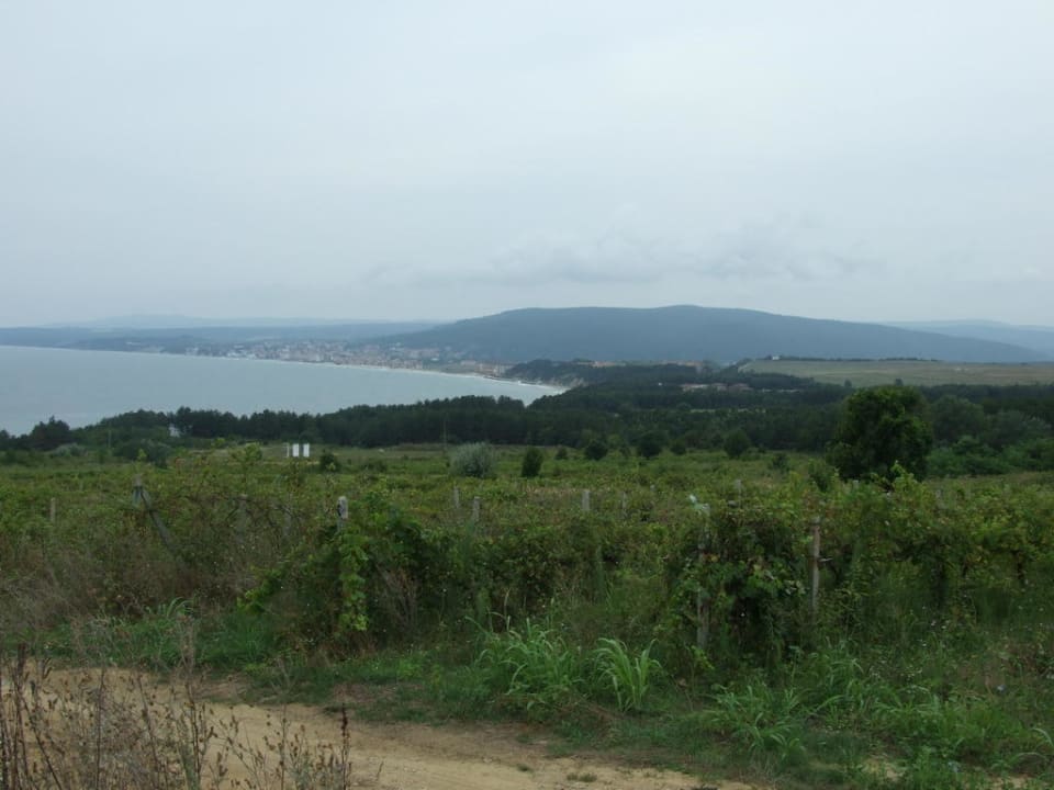 Ausblick aus dem Zimmer Richtung Byala Sol Luna Bay