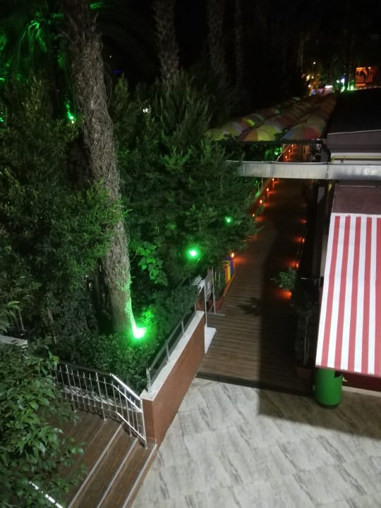 Gartenanlage Hane Family Resort