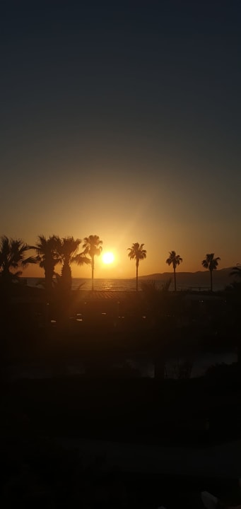 Ausblick Palm Wings Ephesus Beach Resort