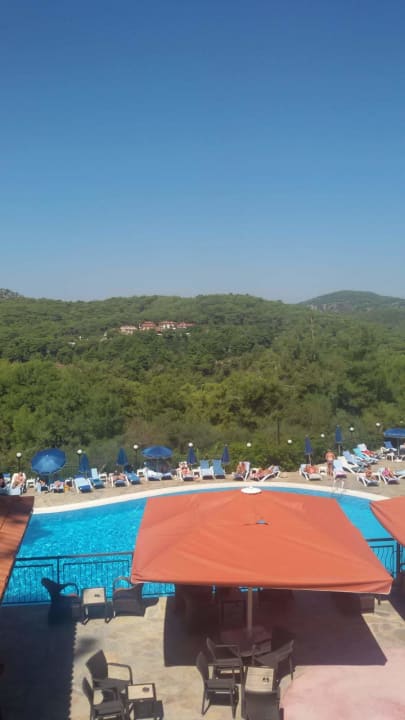 Pool Montana Pine Resort