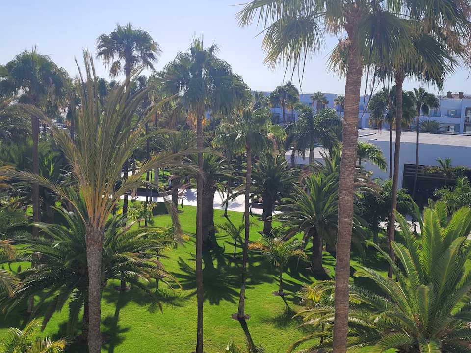 Gartenanlage Hotel Riu Gran Canaria